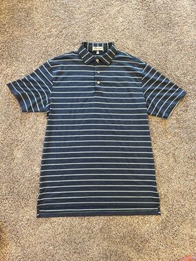 Striped Navy and Light Blue Polo Shirt - Men